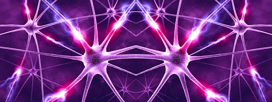 Purple Neurons