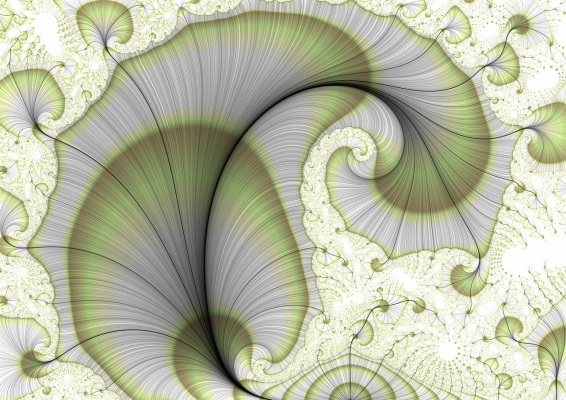 fractal blossom