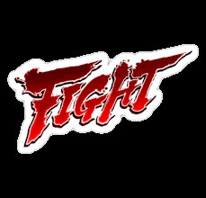 FIGHT street fighter