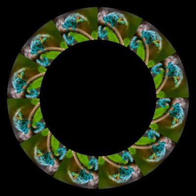 Colorful Chameleon round preview