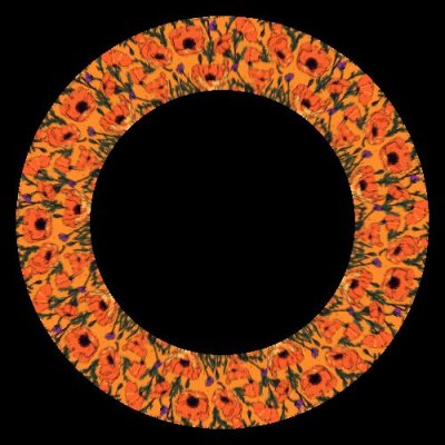 Vibrant California poppies round preview