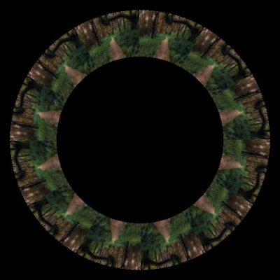 forest  12 round preview