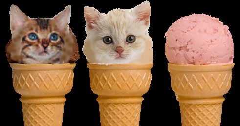 cats ice cream