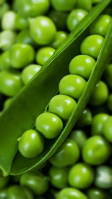 food green pea