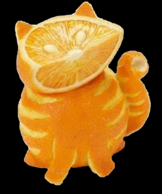 orange cat $