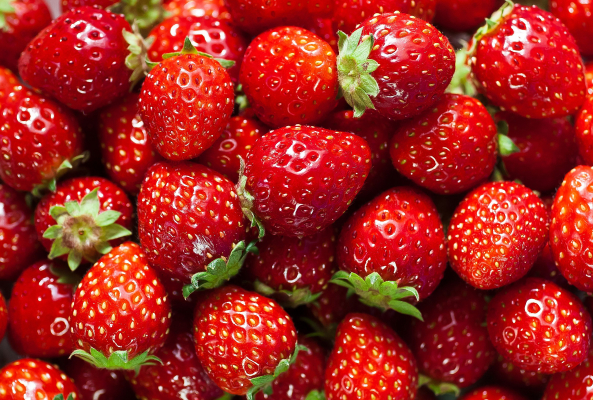 fruit strawberry