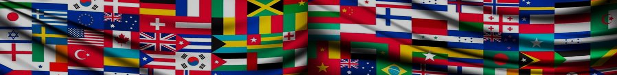World Flags Dull