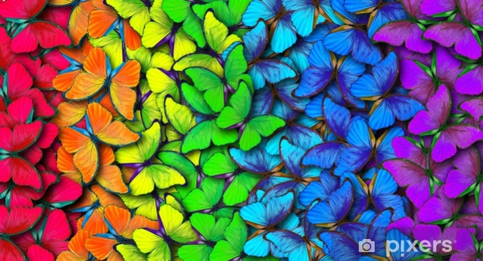 Rainbow pattern of multicolored butterflies morpho texture