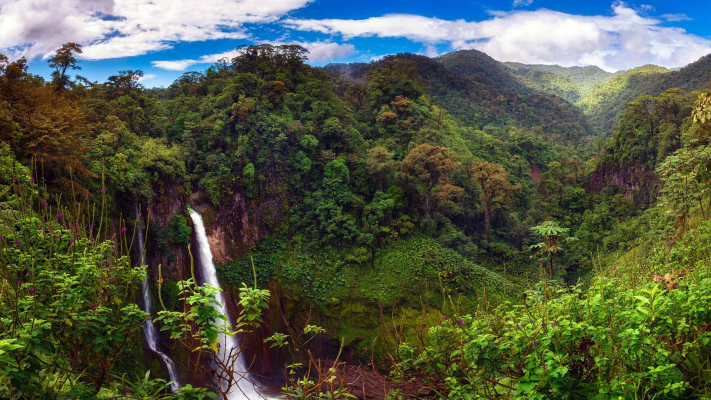 hero rainforest waterfall