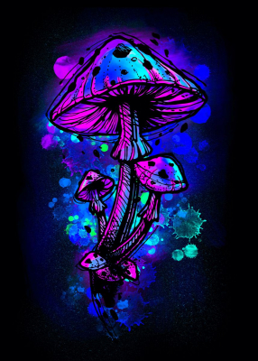 mushroom psychedelic 2