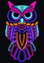 owl funky colors