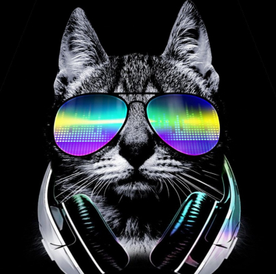 sunglasses cat