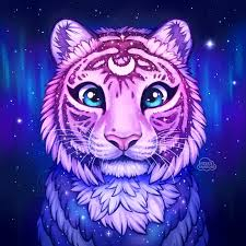 tiger purple