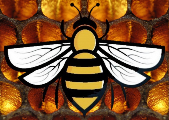 bee over honey comb (darker)