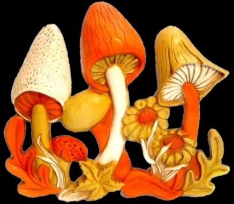mushroom g