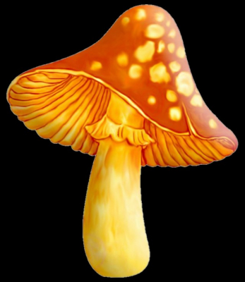 mushroom b