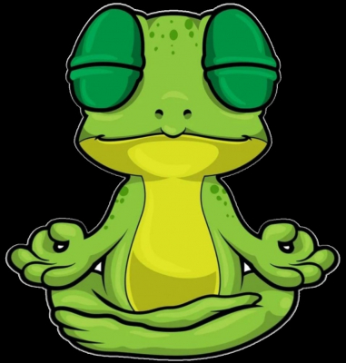 meditate frog