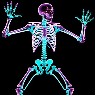 Skeleton 1