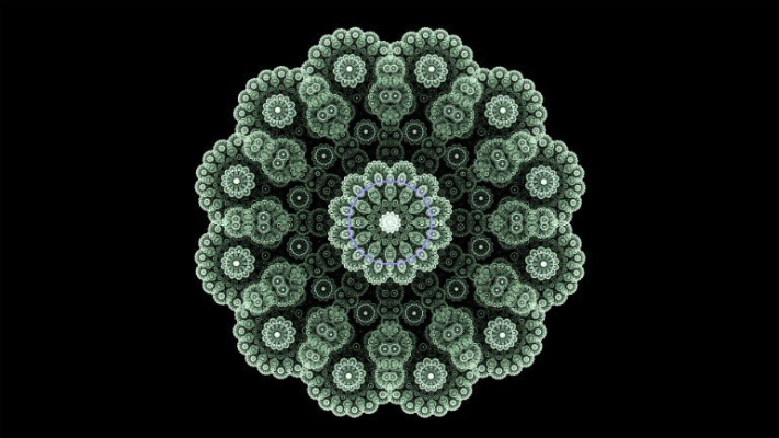 fractals neuroscinews