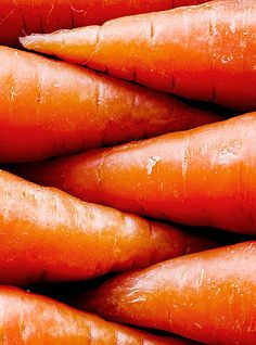 carrot mandala