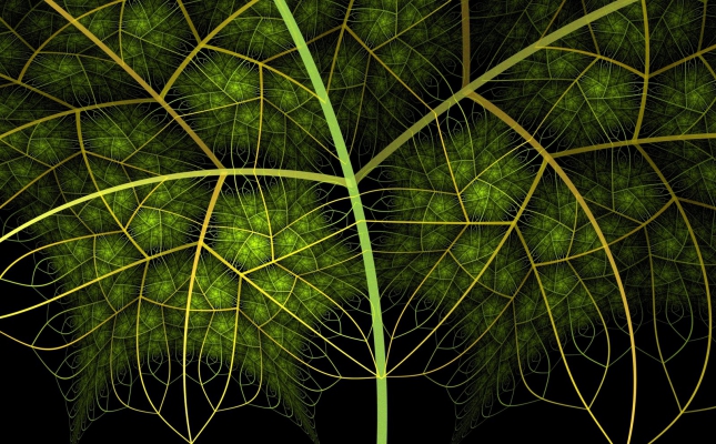 fractal leaf