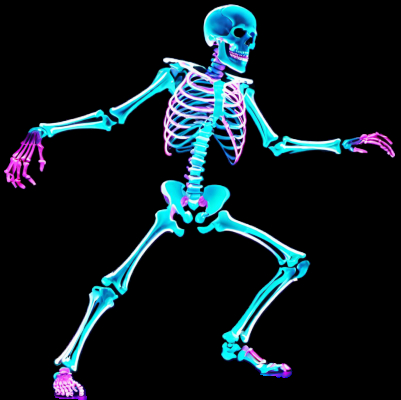 Skeleton 2