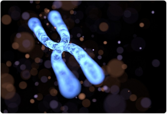 chromosome 2