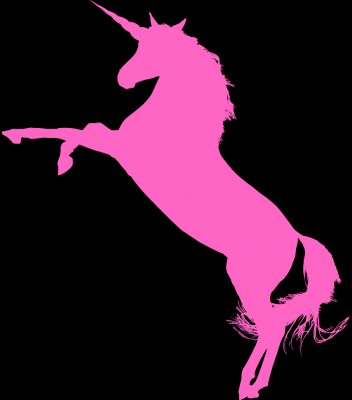 Unicorn silhoutte Pink