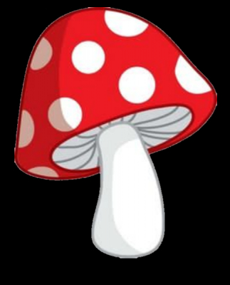mushroom f