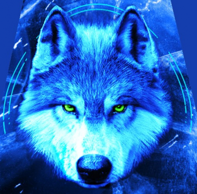 wolf blue