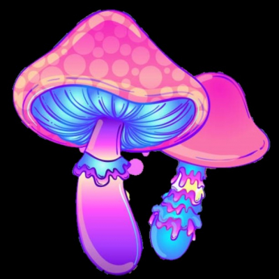 mushroom c