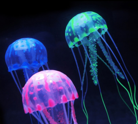 jellyfish army