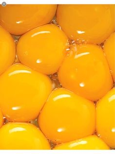 food egg yolks $