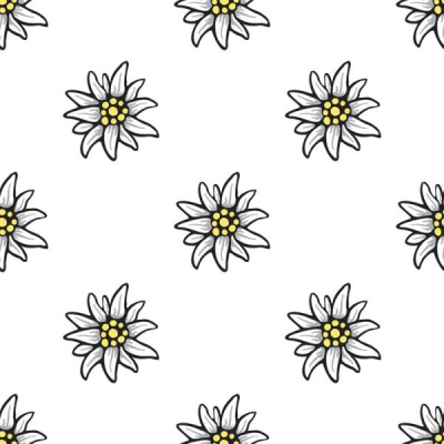 depositphotos 136857986 stock illustration edelweiss flower seamless pattern background