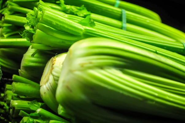 food celery