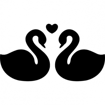 Loving swan