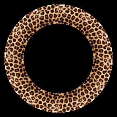 leopard fur round preview