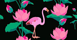 pink flamingos