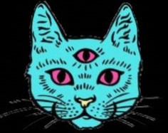 3 eye cat