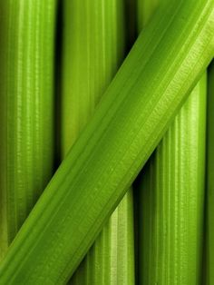 green celery mandala, mirror and flip