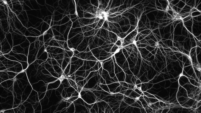 tumblr static tumblr static cm59y9xiwfkscs4oow8gk008c 640