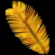 feather