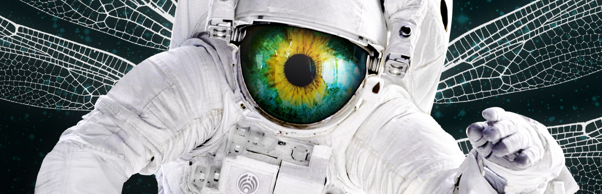 bassnectar wallpaper 16