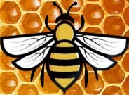 honey bee honey comb $