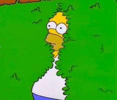 homer bush animation 4 of 6