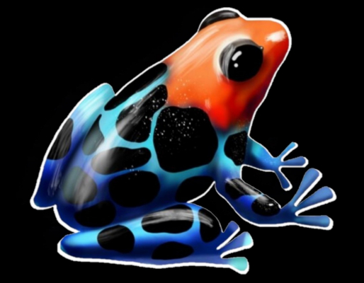orange frog