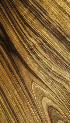 wood grain 1 of 3