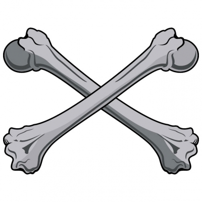 bones clip art free vector 2714