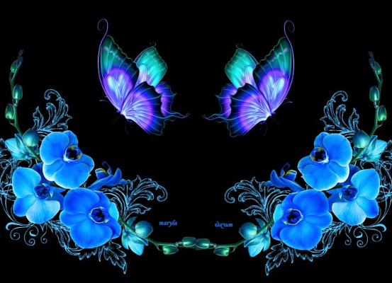 Blue Butterfly