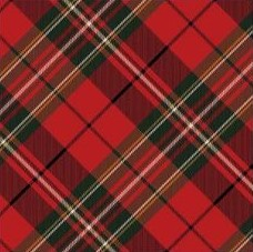 plaid tartan 1 of 18